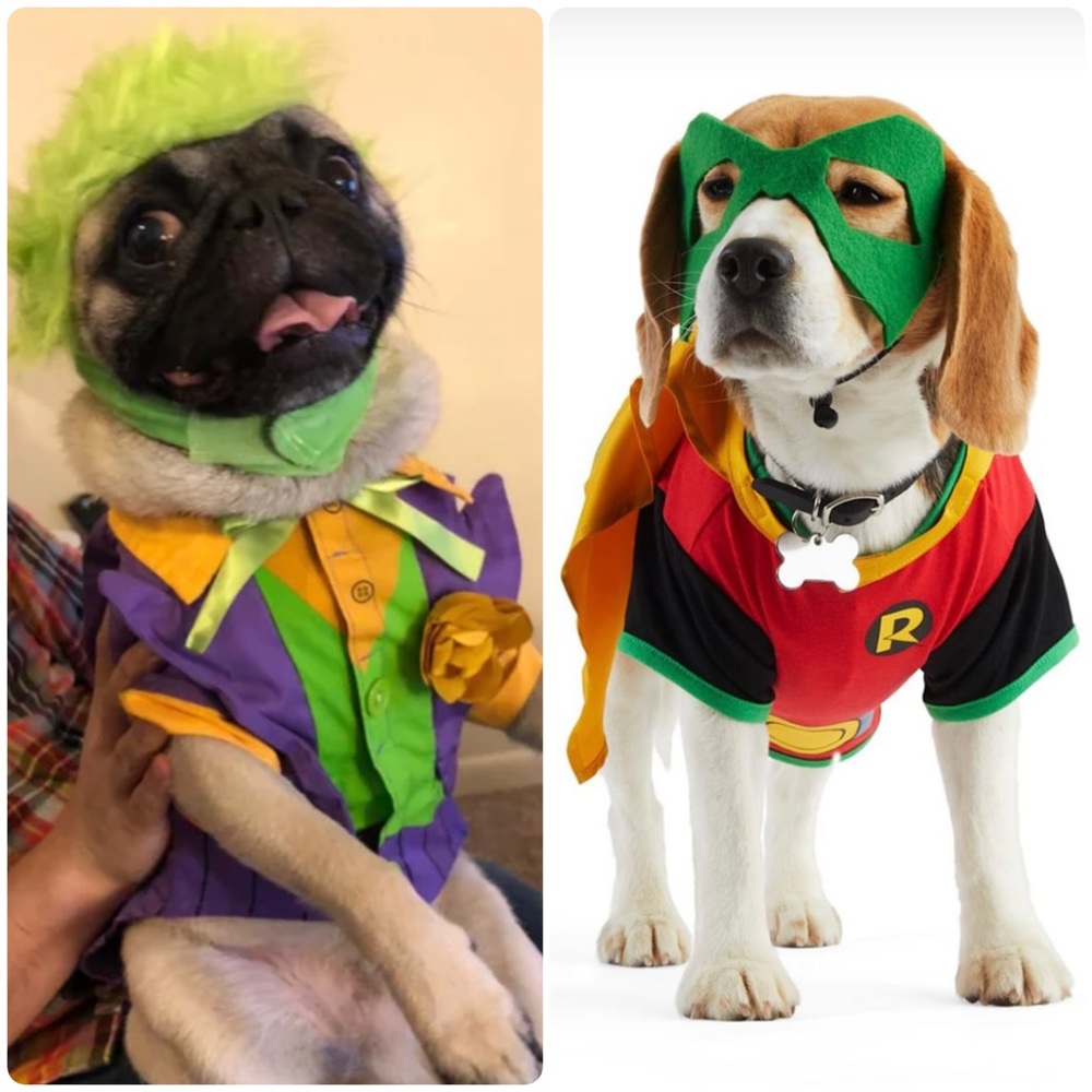 NWT Justice League Robin And The Joker Dog Costume